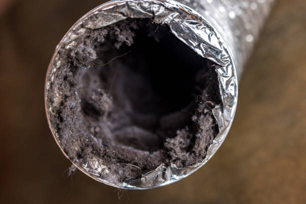 Best Commercial HVAC Duct Cleaning  in Lake Of The Woods, VA